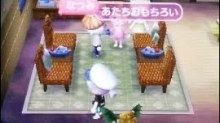 【あつ森】ぶりっこサ◯エさん
