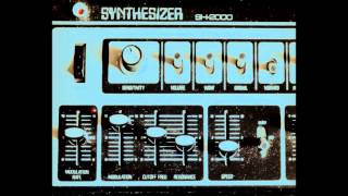 Benge - 1973 Roland SH2000