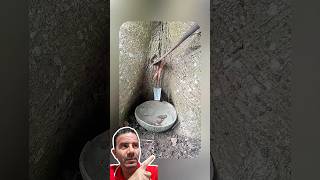 Processo para Extração de Látex da Seringueira! 🌳🥛🔥