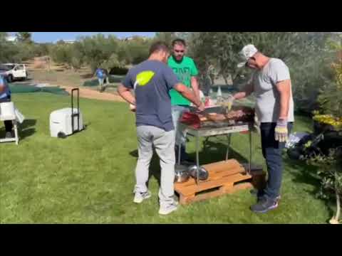 Το Μάζεμα της Ελιάς