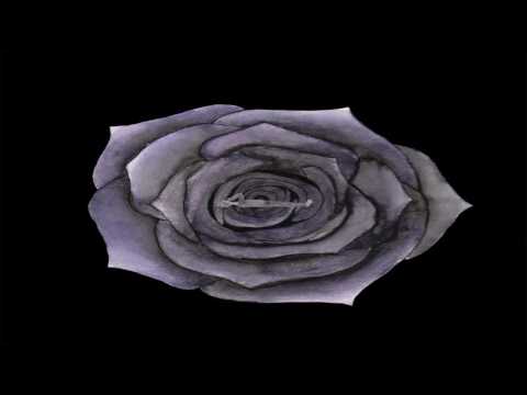 Karpo - The Bad and the Suicidal Thoughts