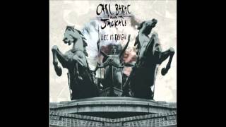 Carl Barat And The Jackals - Beginning To See