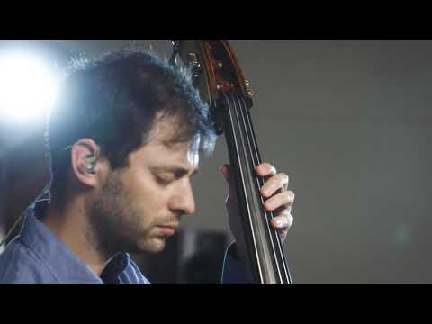 Blue Heron - Sarah Jarosz