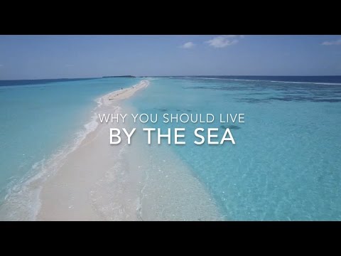 Why you should live close to the ocean