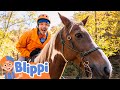 Blippi Learns To Ride A Horse Educational Animal Videos For Kids