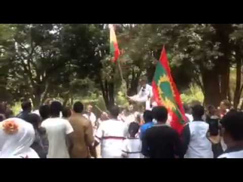 Caalaa bultume: ani Gabrumma baadhe