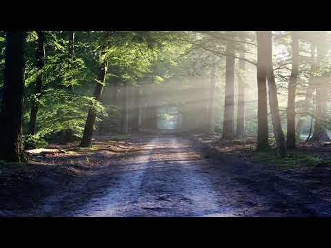 Art Of Silence - Dramatic (Uniq)