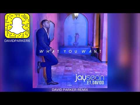 Jay Sean, Davido - What You Want (David Parker Remix) | Dance