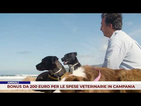 ANIMALI. BONUS DA 200 EURO PER LE SPESE VETERINARIE IN CAMPANIA