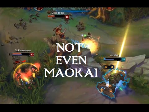 Not Even Maokai