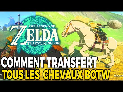 COMMENT TRANSFÉRER TOUS LES CHEVAUX RARES (BOTW SUR TEARS OF THE KINGDOM) ZELDA TOTK ASTUCES TUTO FR