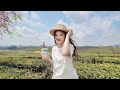 Embrace Spring With Meixue Ice City S Fresh Longjing Tea SpringTea ChineseCulture