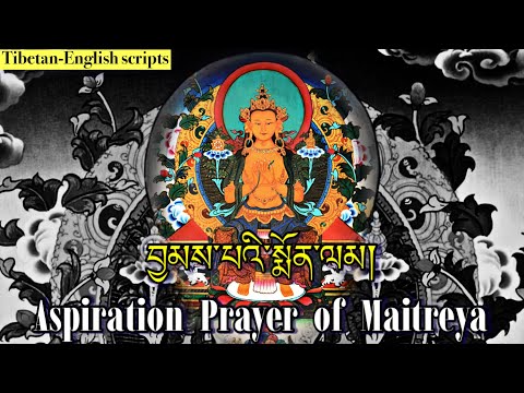 ☸Aspiration Prayer Of Maitreya(Tibetan-English)བྱམས་པའི་སྨོན་ལམ།|Tibetan prayer, Buddhist Prayer