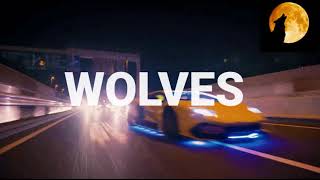 WOLVES Music Video