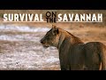 Survival On The Savannah Teaser