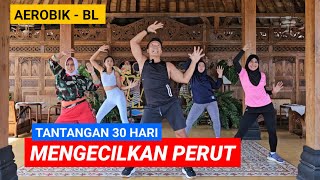 Download lagu 30 HARI MENGECILKAN PERUT | AEROBIK BL mp3