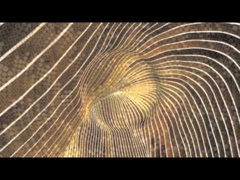 Space Master Silence Live! @Splendor Amsterdam