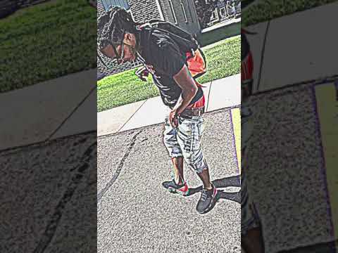 Polar bear tucc  DMB E