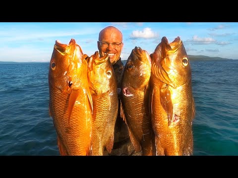 INDO TALES - EPISODE 30 Mangrove jacks and our host cooking a traditional fish dish ( kuah kuning )