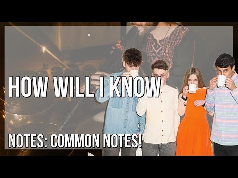 How to play How Will I Know by Whitney Houston & Clean Bandit on Tin Whistle (Tutorial)