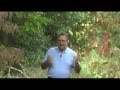 How To Develop Discipline To Stop Impulsive Trading