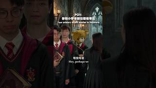 陈哈利！我教过你呀哥架
