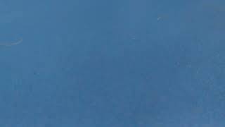 埼玉西武ライオンズ2回表攻撃 応援音声 2023/10/03