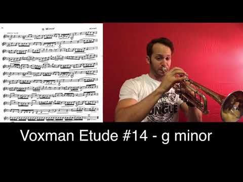 TMEA 2018-2019: Voxman Etude #14 - g minor