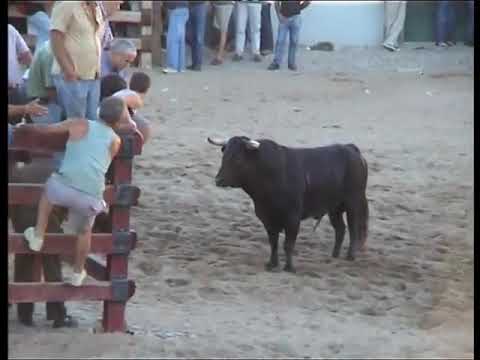 Festa Brava em Samora Correia 2005 - 1ª Parte