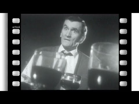 Gala umorului: „Dacă totul a ieșit bine, sigur ai greșit undeva” - episodul 9 | sezonul 22