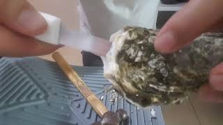 ¡ NO OYSTER KNIFE NEEDED SHUCKING INSTRUCTIONS!