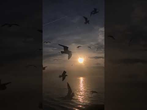 Seni Seviyorum Kadın (Şiir)