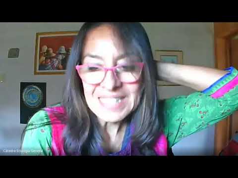 Cintia Tellaeche Proyecto Gato Andino 27 05 2021