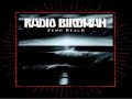 Radio Birdman - Remorseless