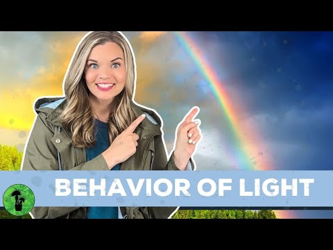 Behavior of Light | Reflection, Refraction, Absorption