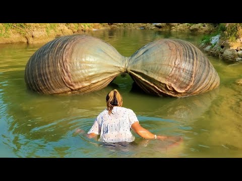 Discovering an extremely unique river clam, the girl excitedly harvested its enchanting treasure