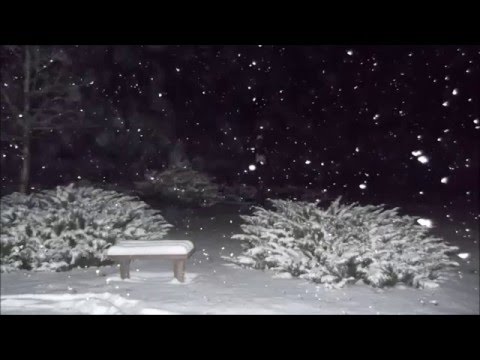 Hács 2016 01 06 (hóesésben)