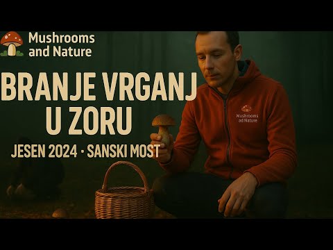 Lov na vrganje u zoru– Jesenje branje gljiva u Sanskom Mostu 2024