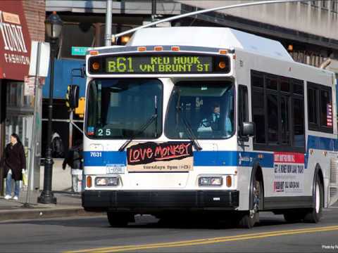The B61 Bus Tribute