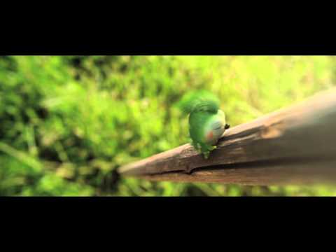 Rölli ja kultainen avain - Mauno Mato musiikkivideo