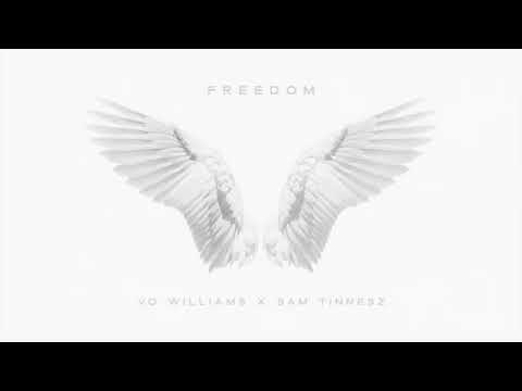 Sam Tinnesz X Vo Williams - Freedom [Audio]