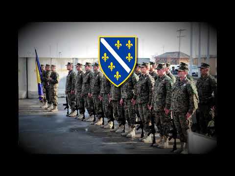 Nedžad Esadović - "Zastava Bosanska" (Patriotic Bosnian War Song)