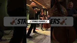 🎻Strings Instruments in Norway | Båtsfjord, Finnmark