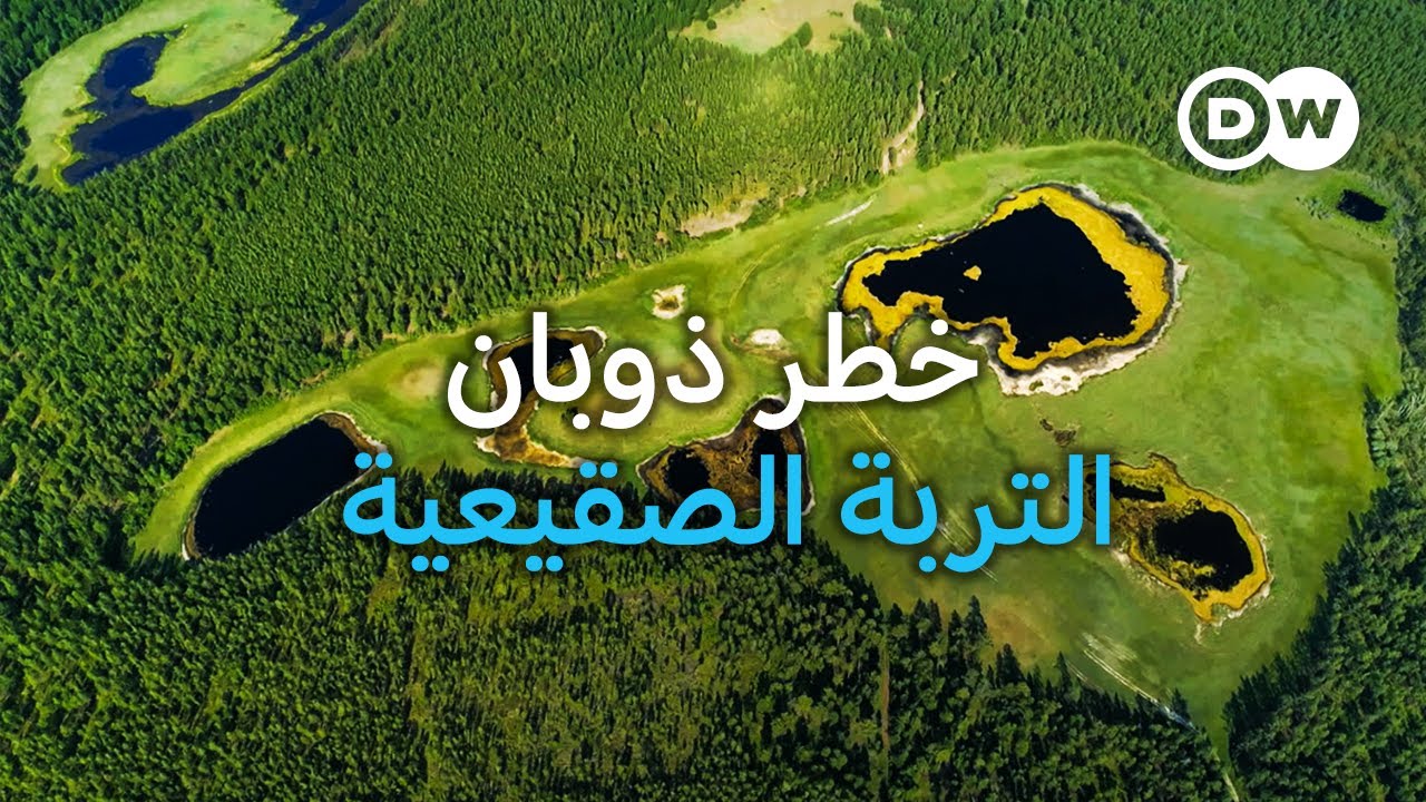 ذوبان مستنقعات التربة الصقيعية - كيف يمكن للطبيعة أن تبطئ تغير المناخ؟