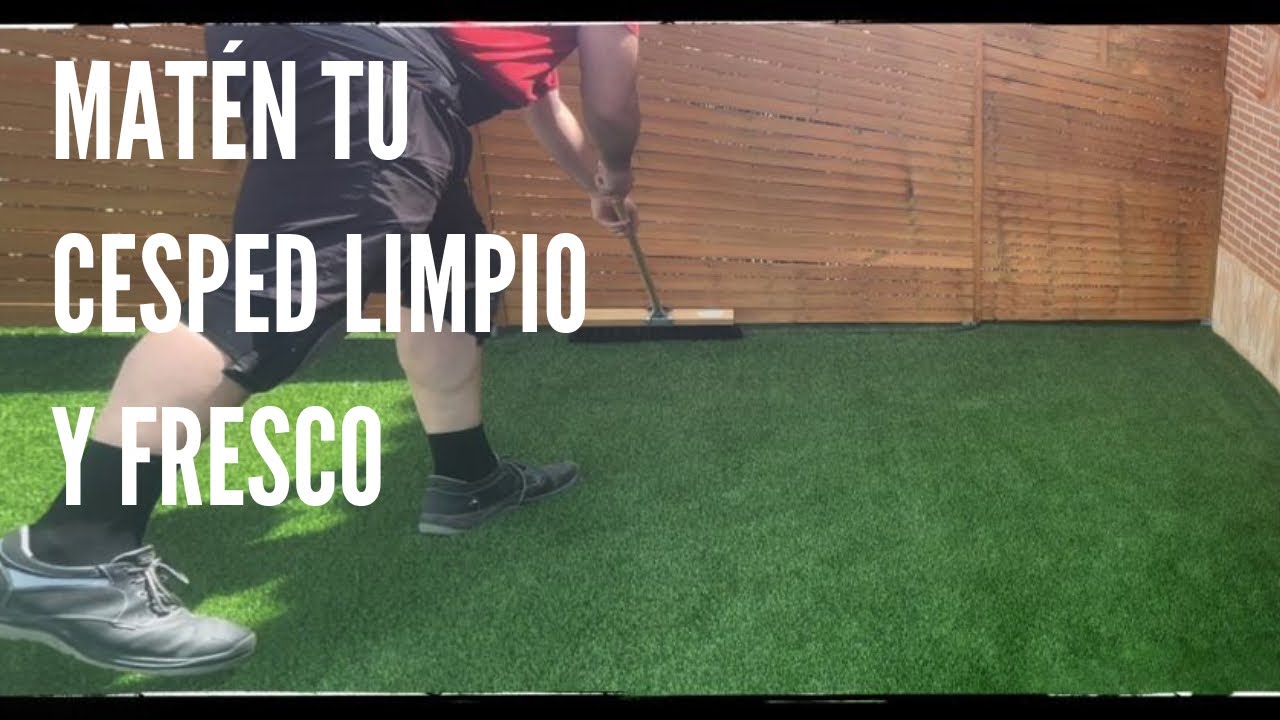 Watch Que mantenimiento tiene un césped artificial Parte 4 Now Que mantenimiento tiene un césped artificial Parte 4