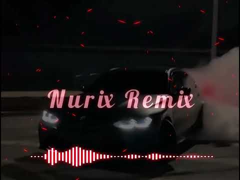 Back prooff - Два брата Bass,  Nurix