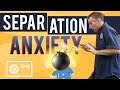 Separation Anxiety In Children | Dad University