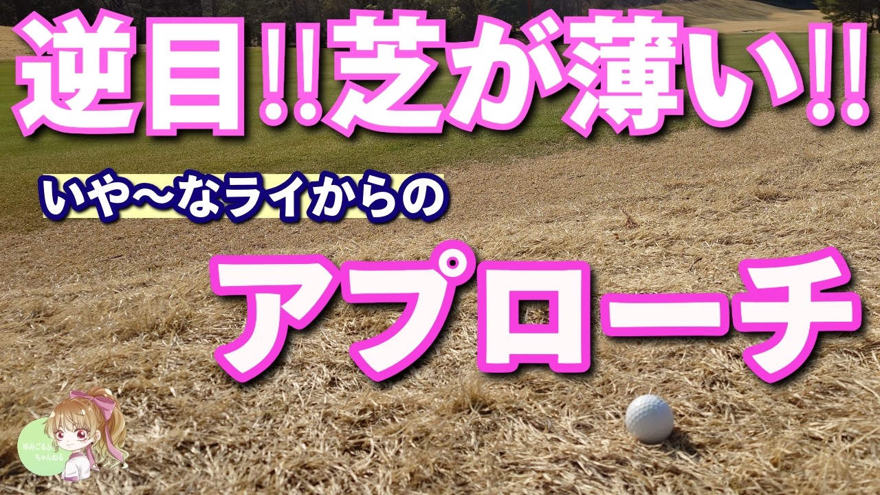 【保存版】逆目‼芝が薄い‼いや～なライからのアプローチ