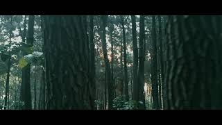 Download lagu VIDEO ESTETIK ALAM 30 DETIK | NATURE CINEMATIC VIDEO | Dere - kota mp3