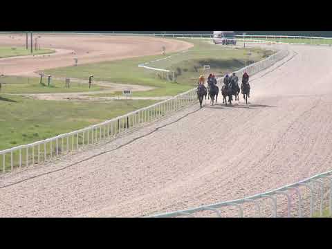 2022.04.24. 08. futam - SZÉPALMAPUSZTAI HENDIKEP (V.o.) (szintetikus pálya)